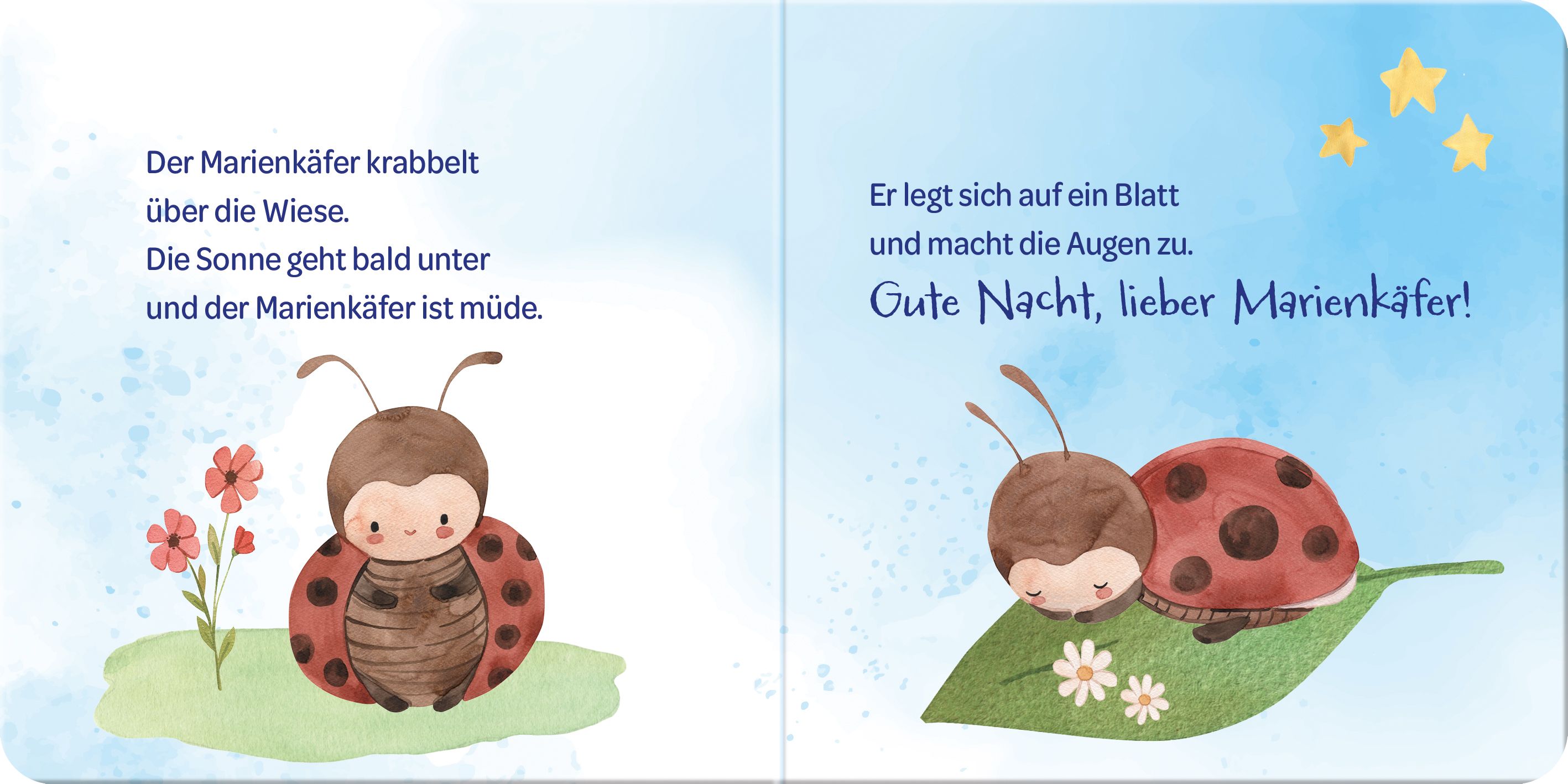 Buch - Ich sag Gute Nacht