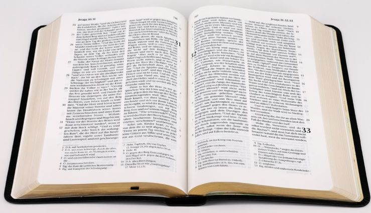 Elberfelder Bibel 2003 - Taschenausgabe