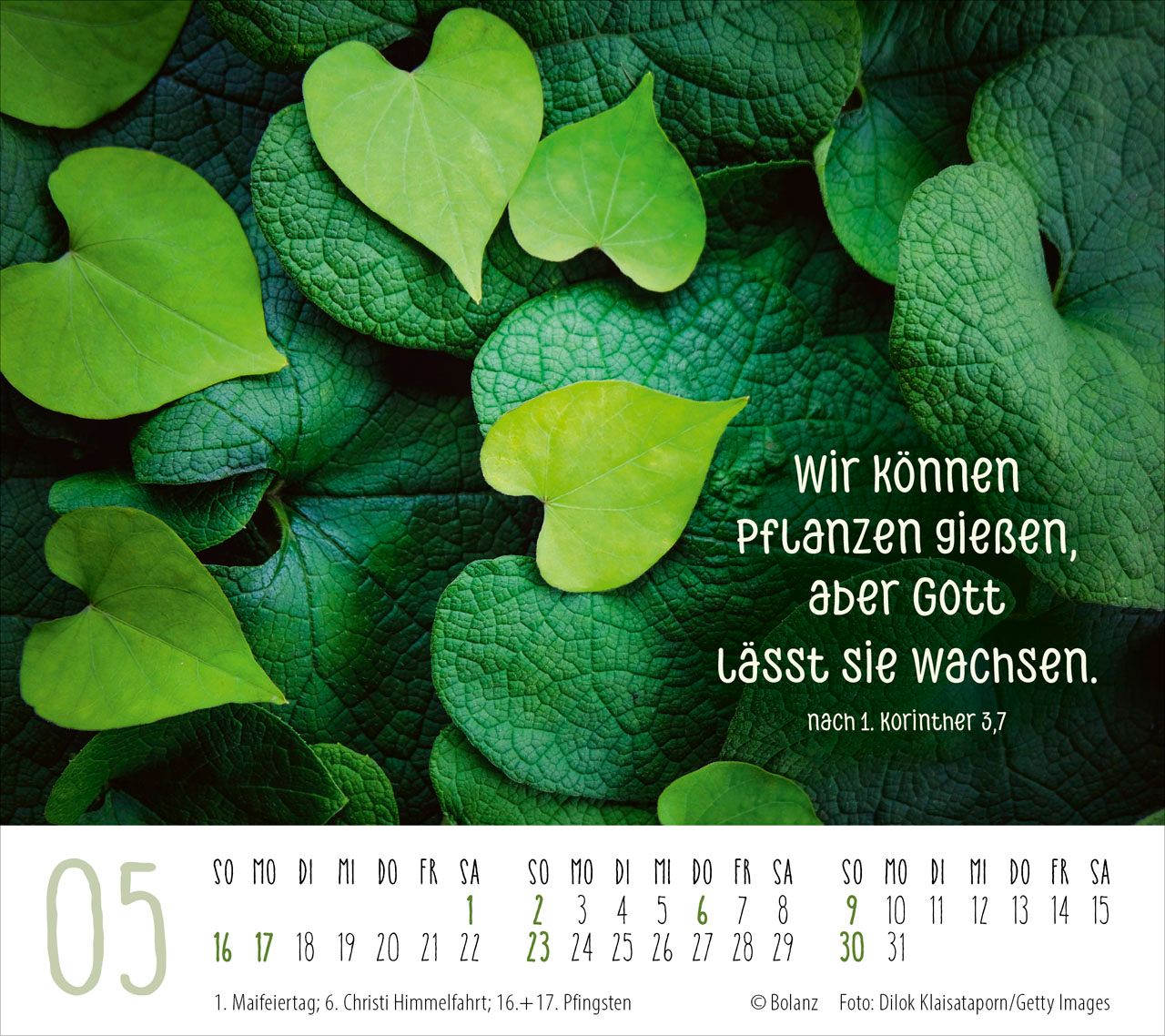 Tischkalender - Gute Wünsche für dich 2027 Tischkalender