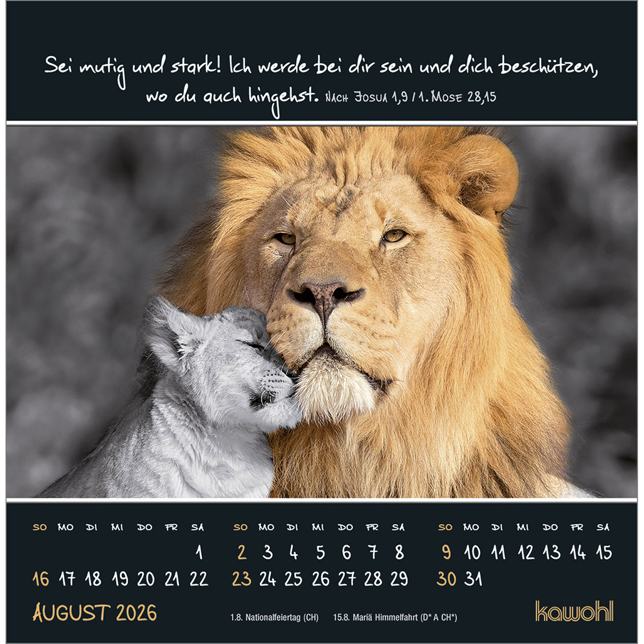 Postkartenkalender - Kleine Wunder sehen 2026