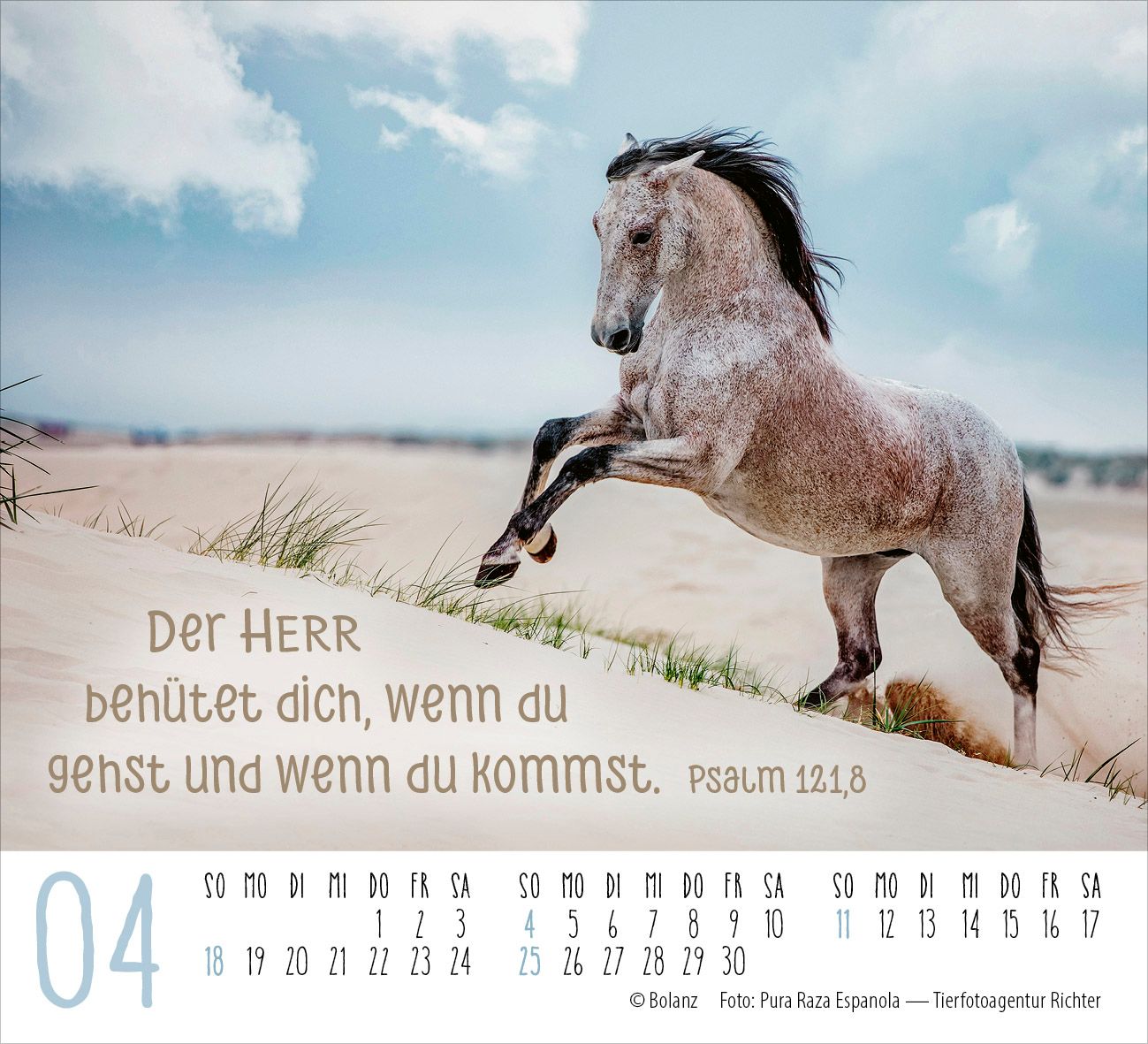 Aufstellkalender - Pferde 2027