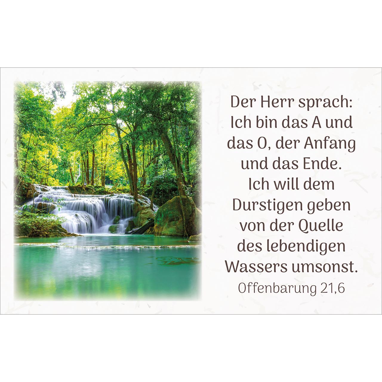 Karten-Box Kunststoff - Himmlische Zusagen - Wald Lavendel Bäume Weg