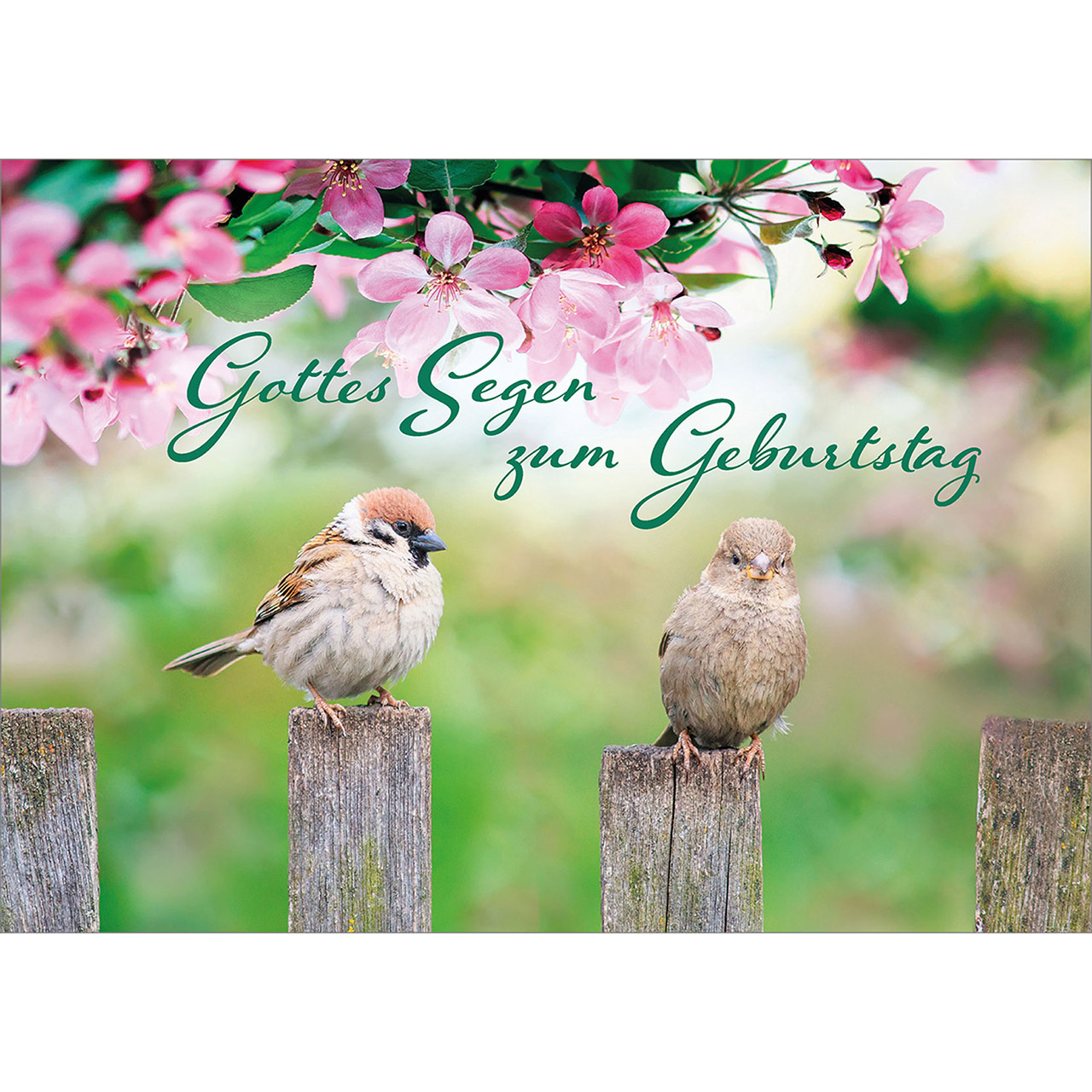 Gottes Segen zum Geburtstag