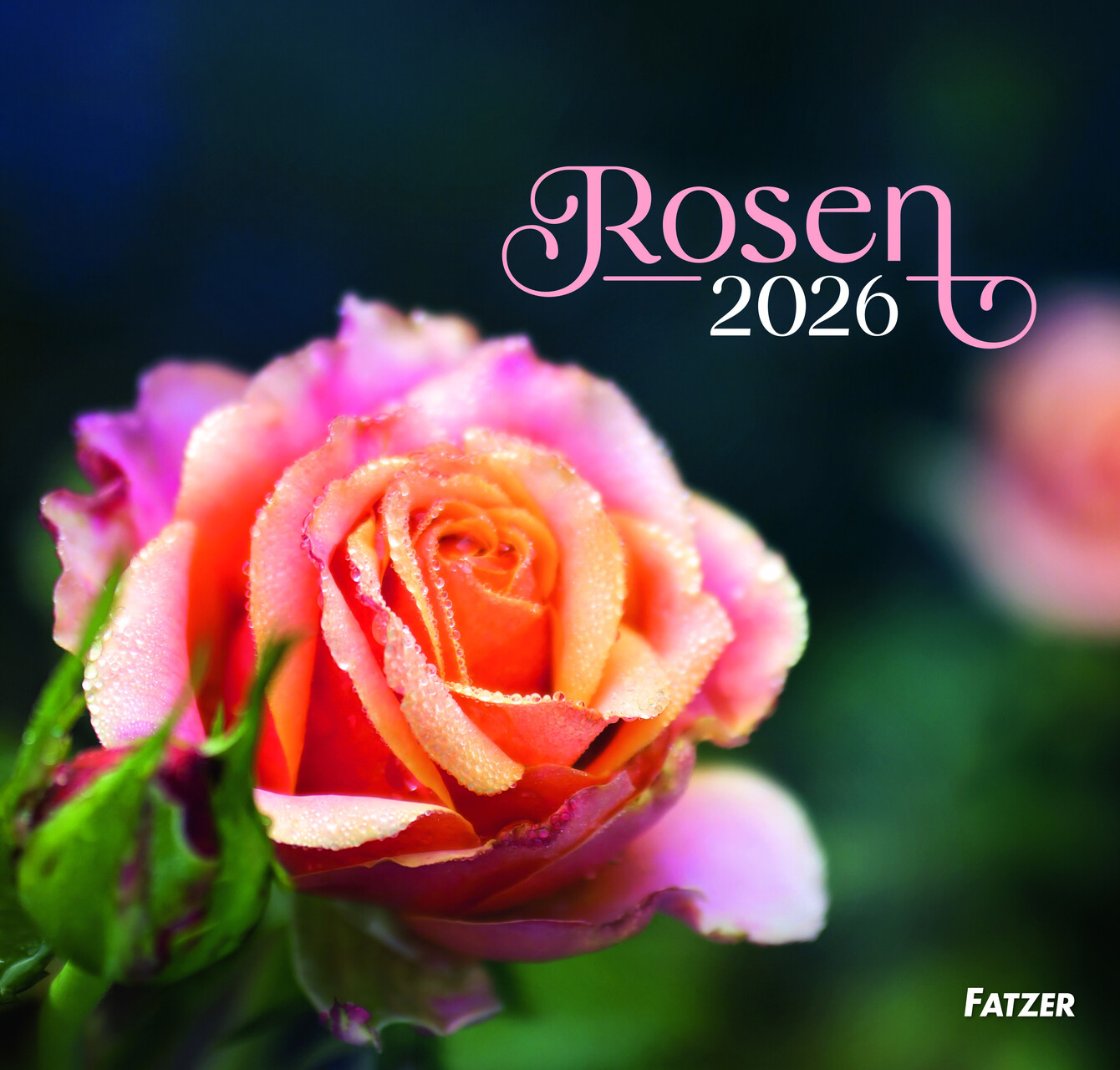 Rosen - Wandkalender 2026