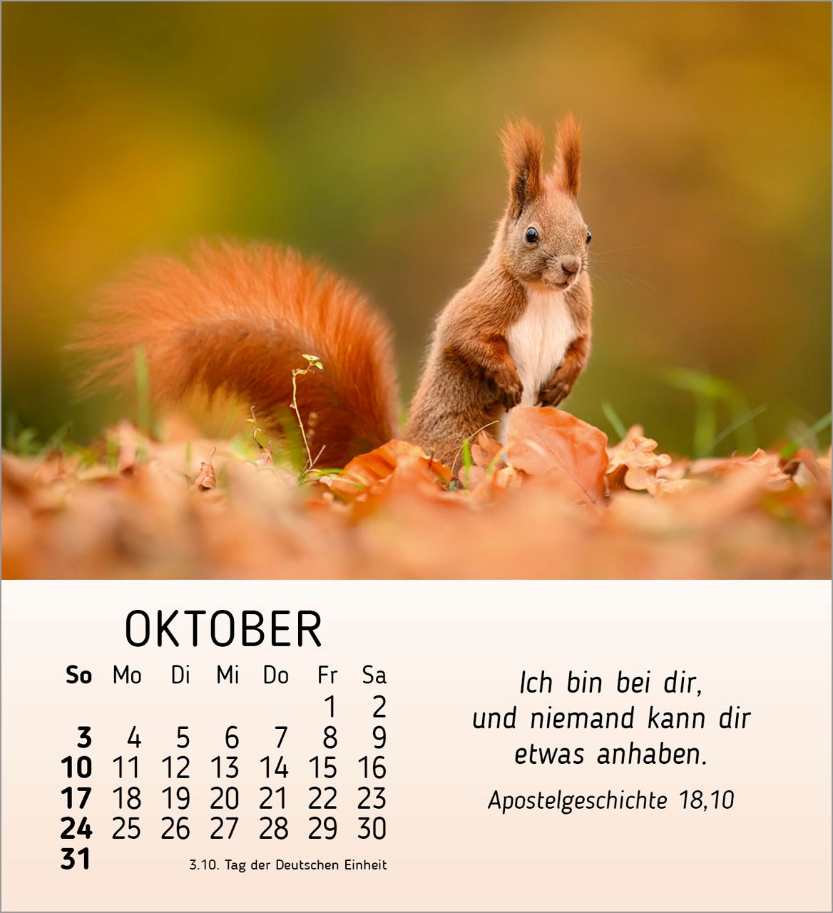 Tischkalender - Meine kleinen Freunde 2027