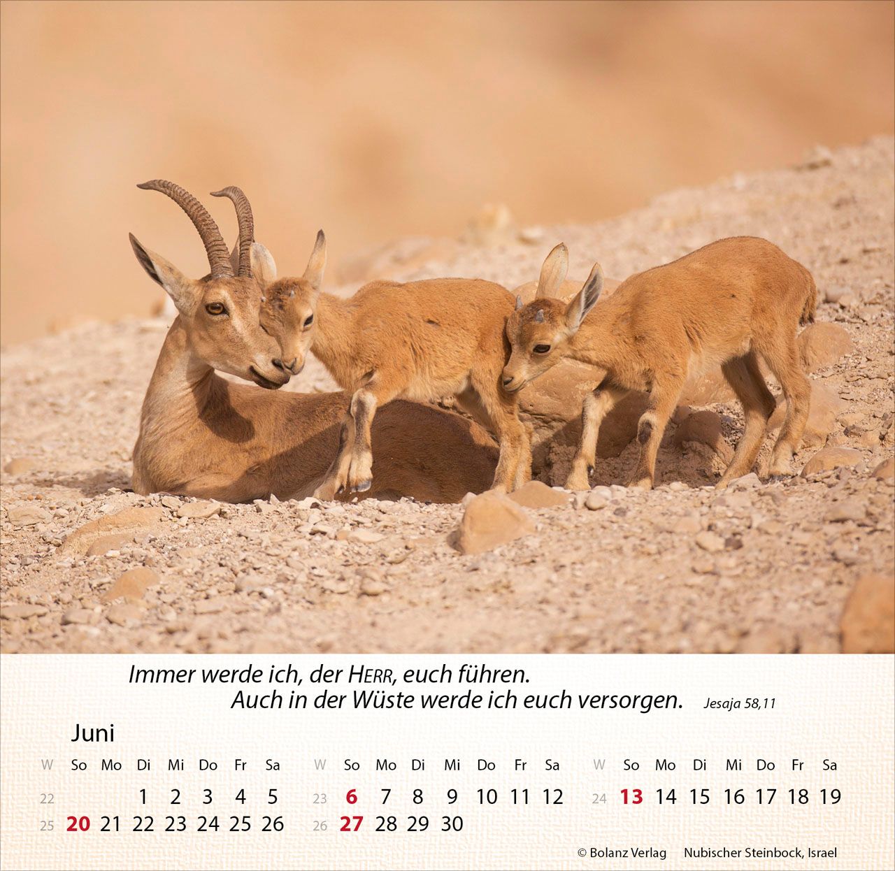 Tischkalender - Israel Shalom 2027