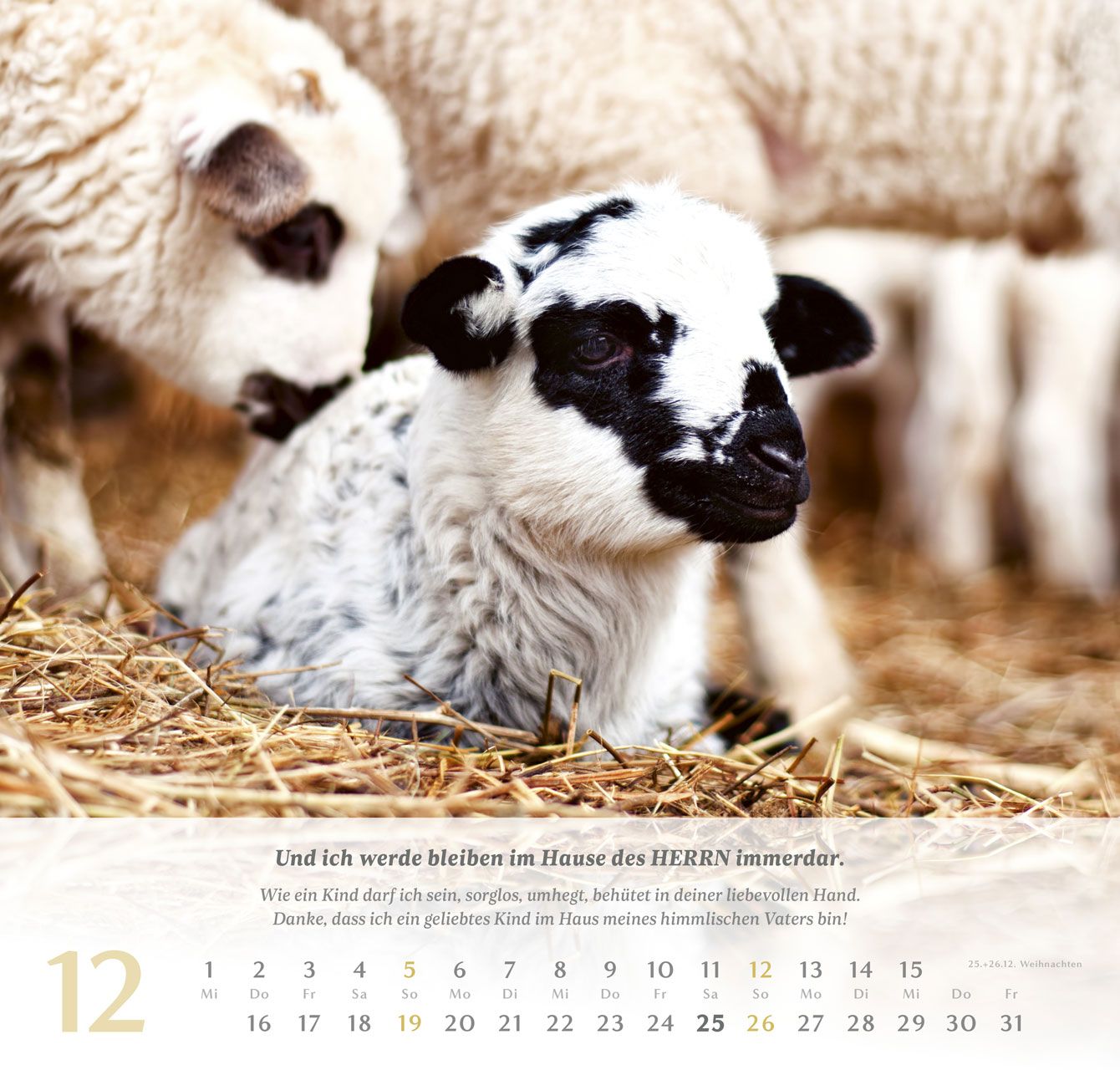 Wandkalender - Psalm 23 2027 Wandkalender