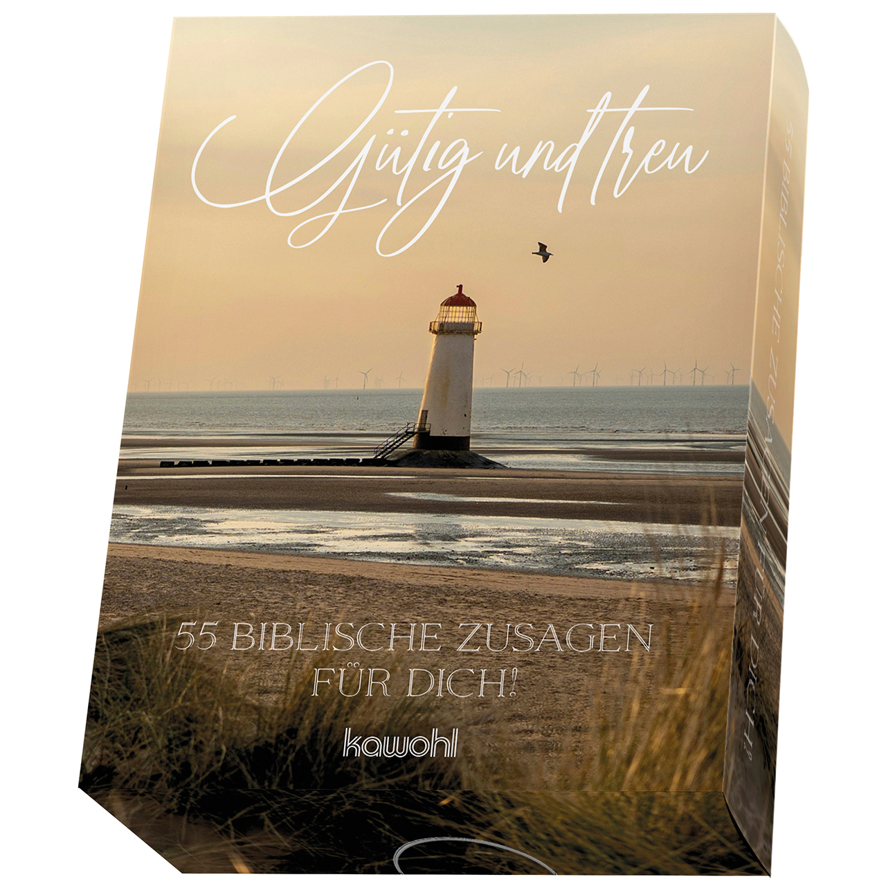 Karten-Box Papier - Gütig und treu - Leuchtturm Meer Strand Möve Vogel Sand Dünen