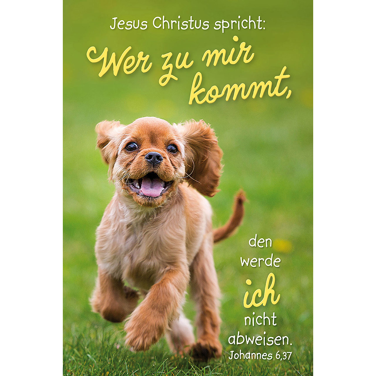 Wer zu mir kommt, den werde ich nicht abweisen.