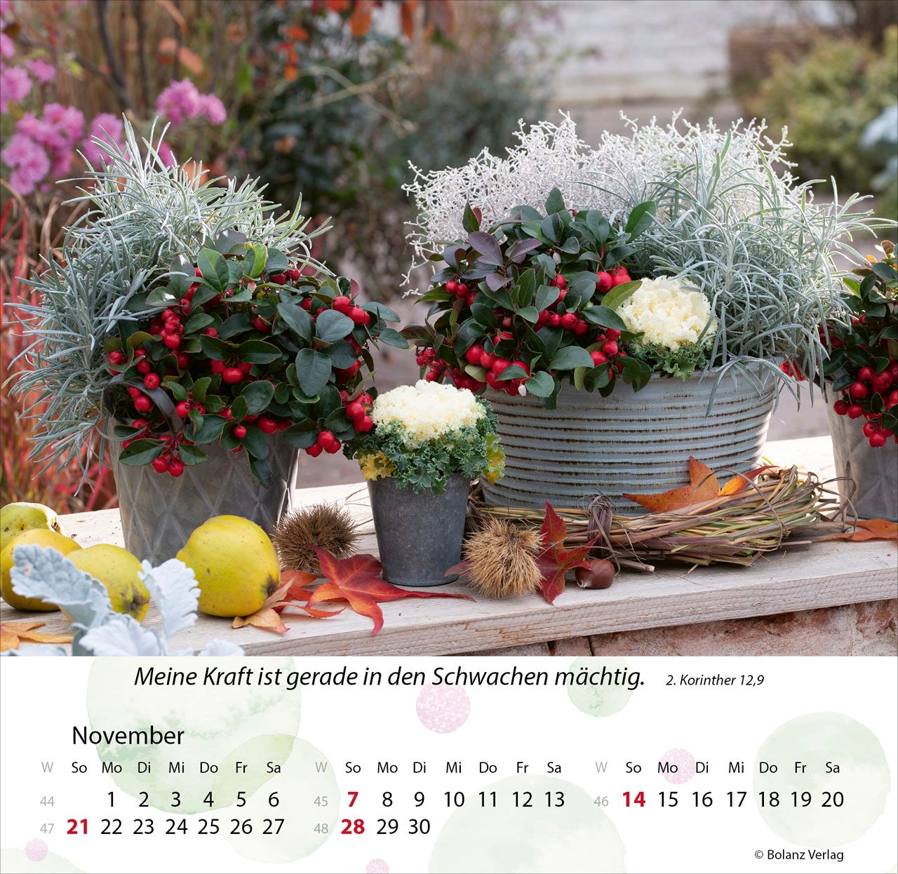 Tischkalender - Gärten 2027 Tischkalender