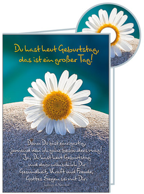 Faltkarte mit CD - Du hast heut Geburtstag - Gänseblümchen auf Stein