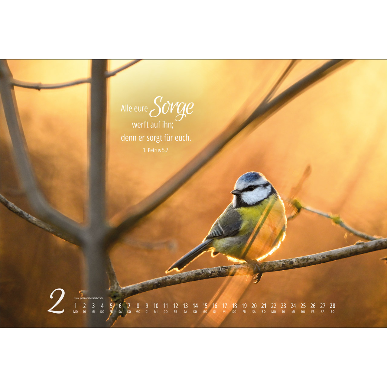 Wandkalender - Real Wildlife 2027