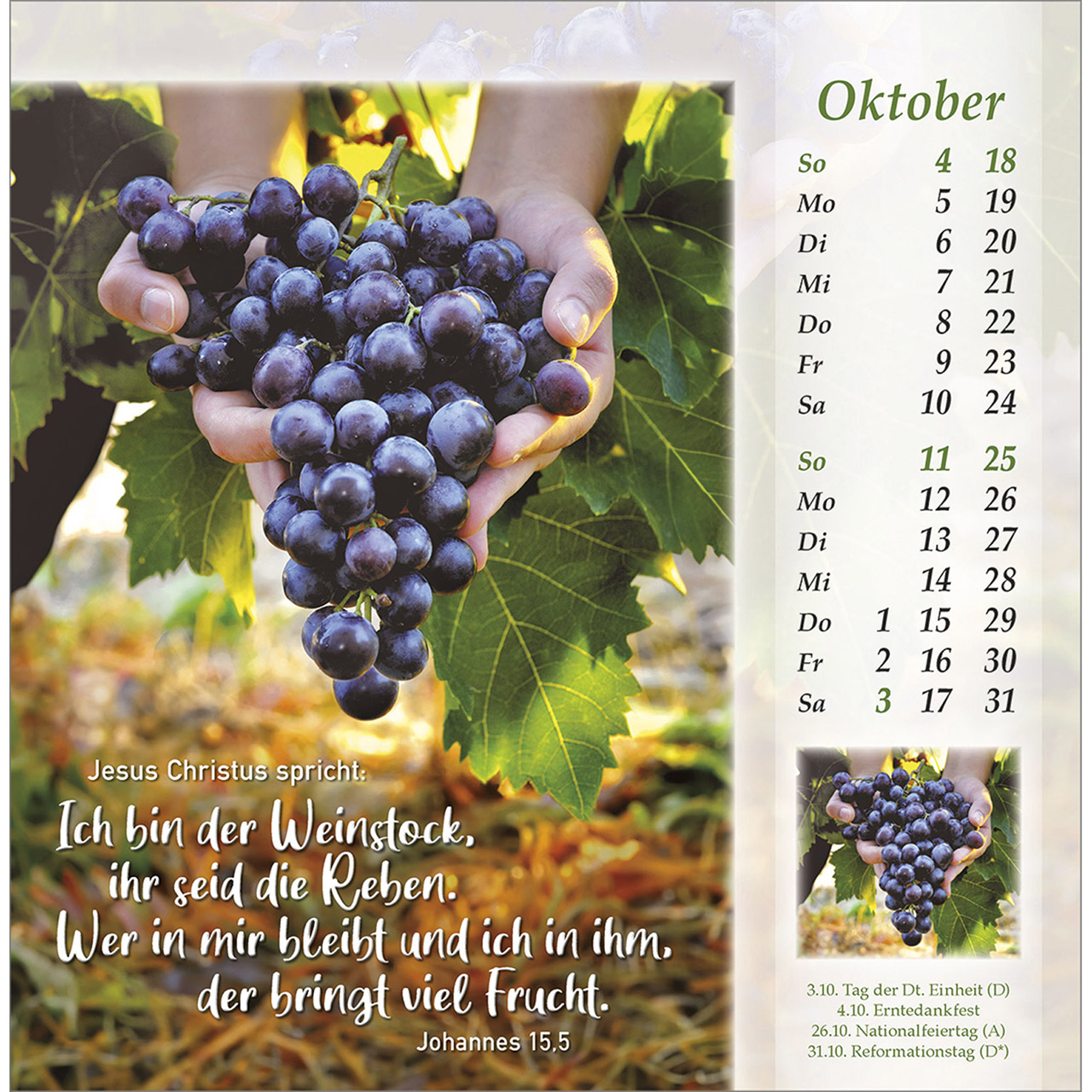 Postkartenkalender - Licht vom unerschöpften Lichte 2026