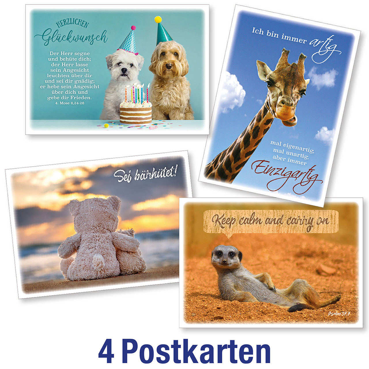 Postkartenserie 4 x 1 Tiermotive