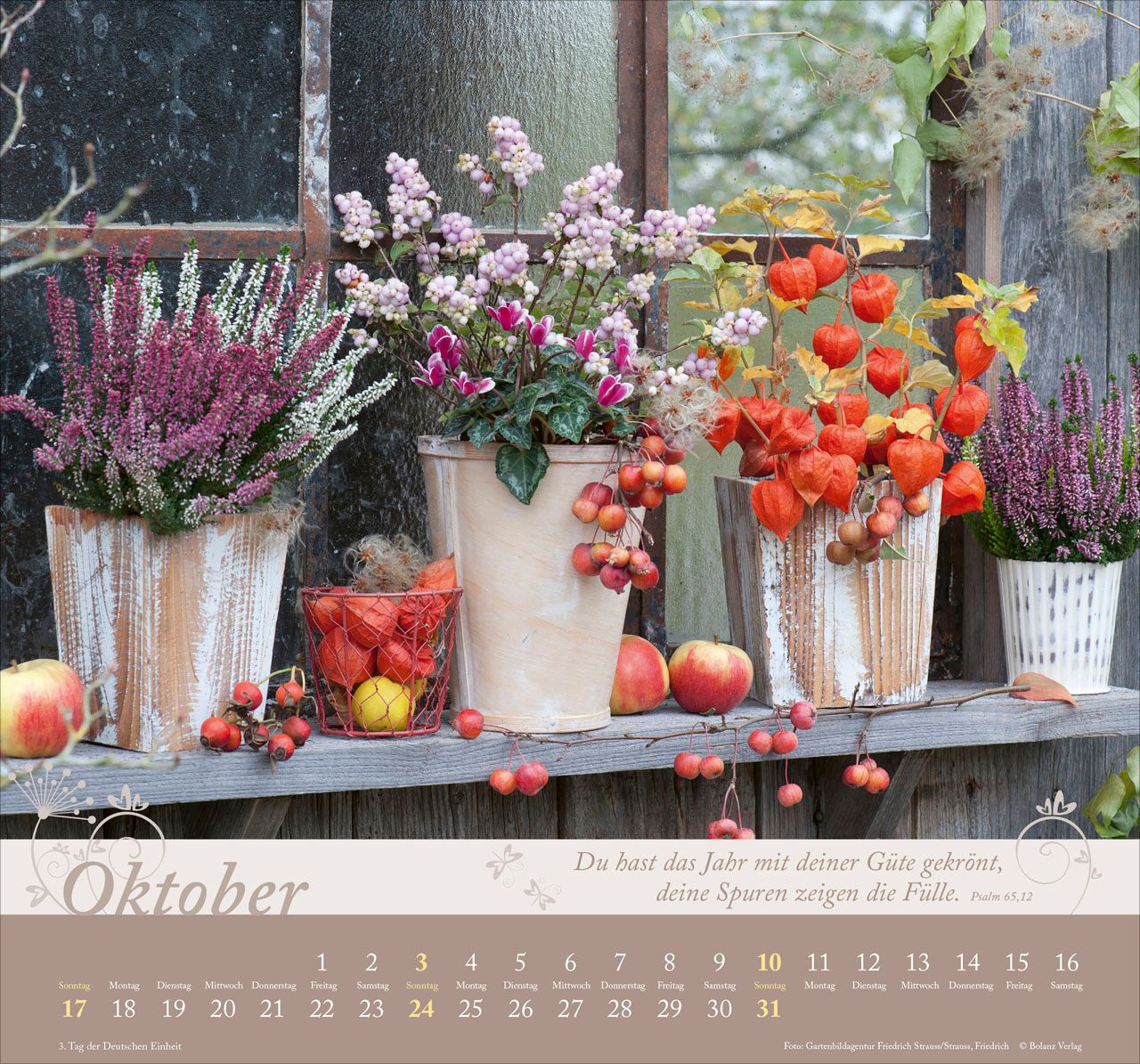Wandkalender - Im Garten zuhause 2027 Wandkalender