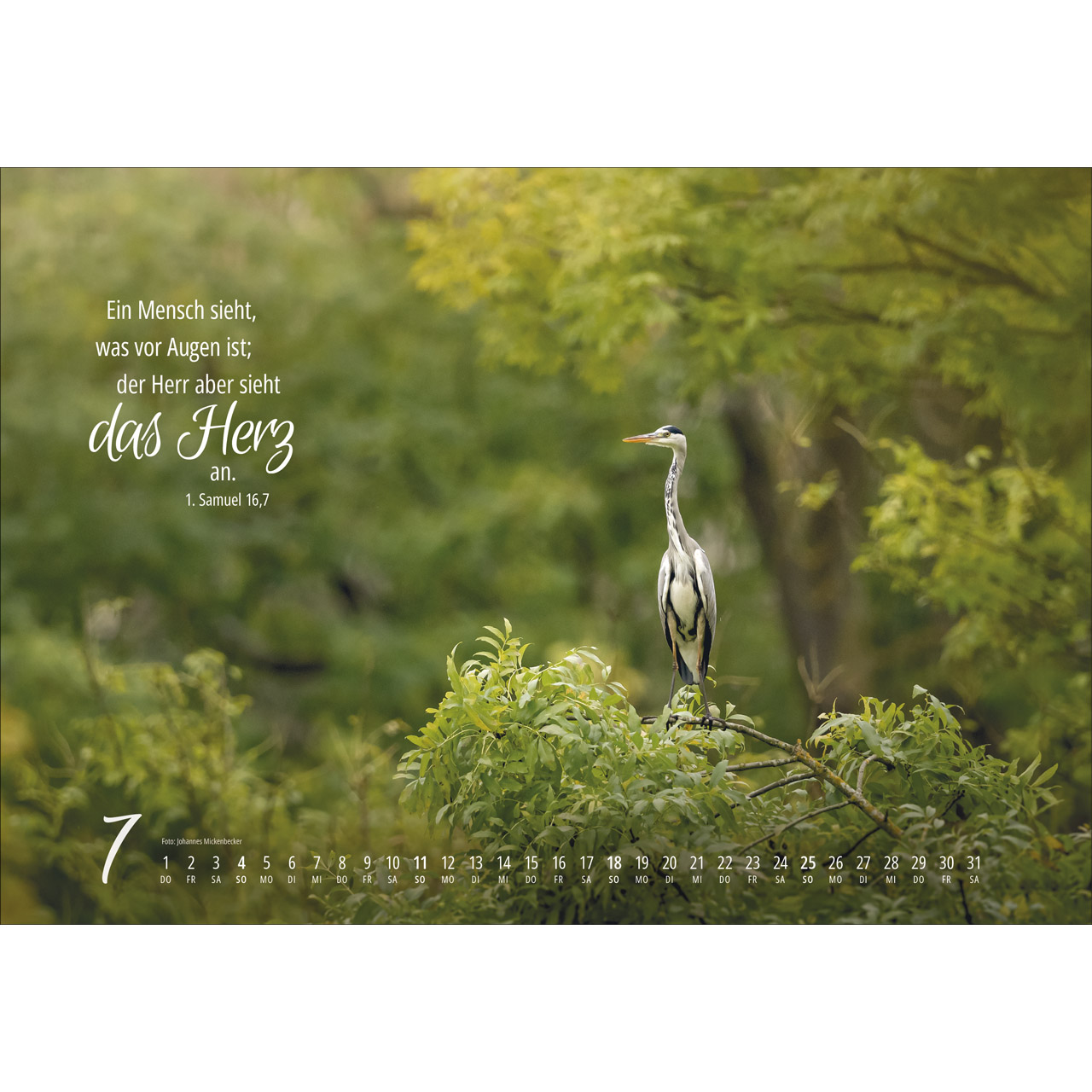 Wandkalender - Real Wildlife 2027