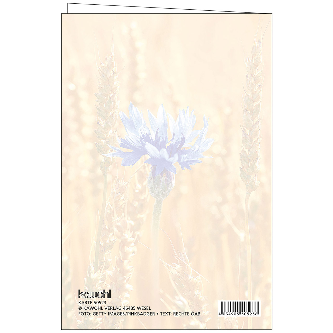 Faltkarte - Du bist ein Gott, der mich sieht. - Getreidefeld / Kornfeld mit blauer Korn-Blume