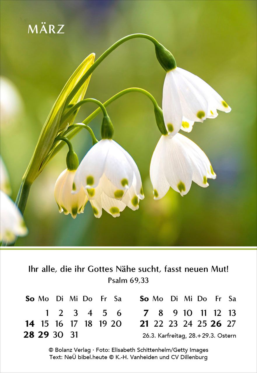 Aufstellkalender - Ein Jahr der Freude 2027