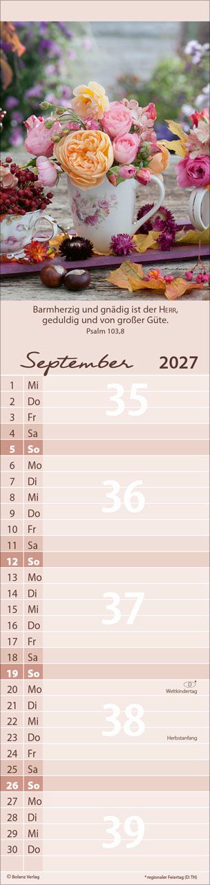 Terminkalender - Von Mir zu Dir 2027 Streifenterminkalender