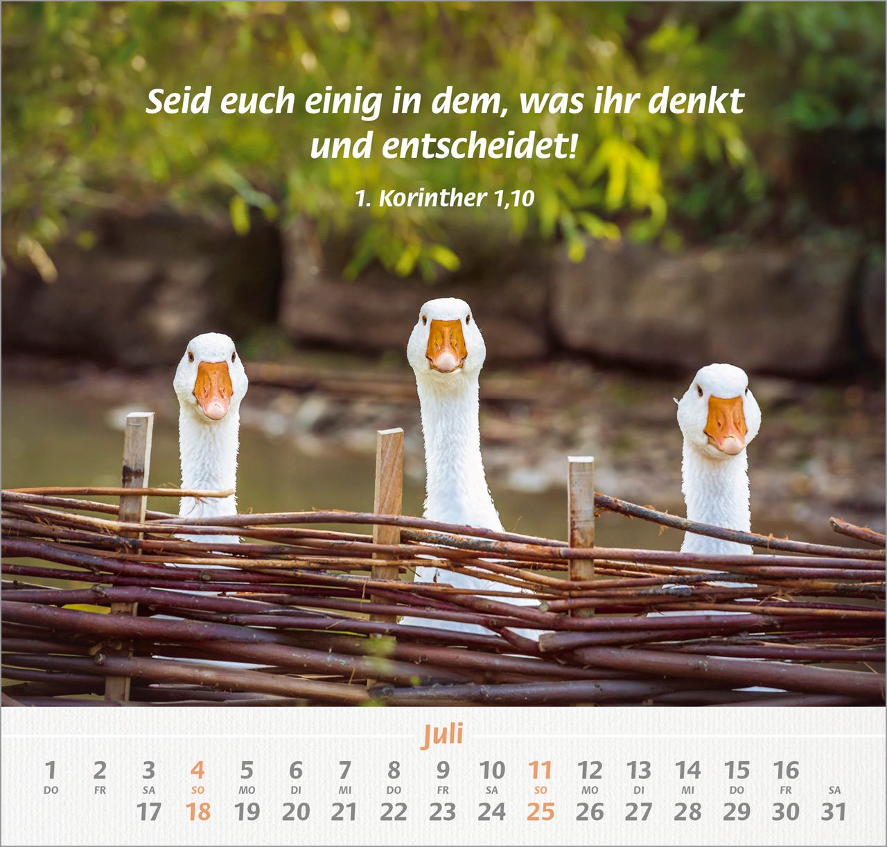 Wandkalender - Ich hab dich gern 2027 Wandkalender