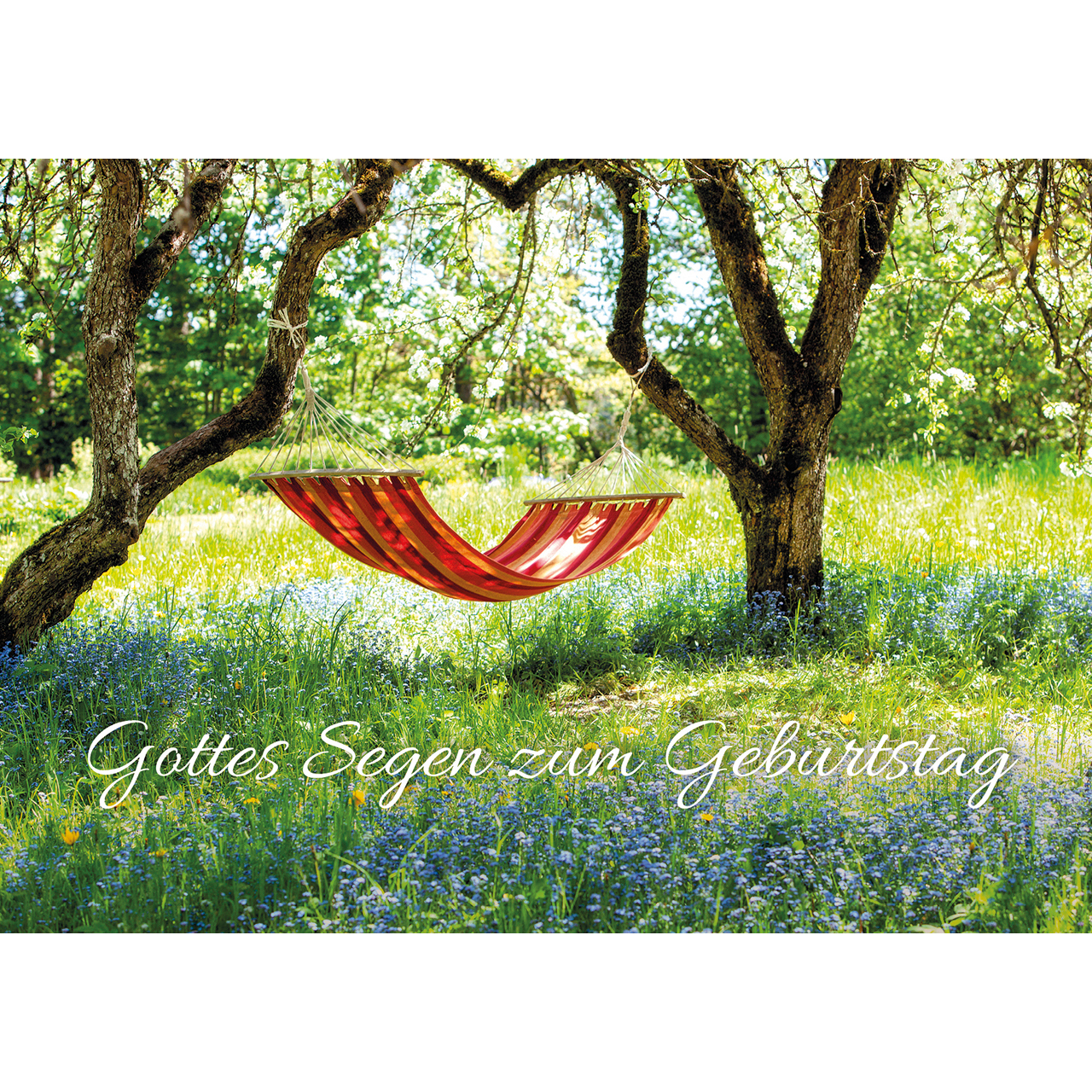 Postkarten - Gottes Segen zum Geburtstag - Hängematte Bäume Wiese Wildblumen Sträucher