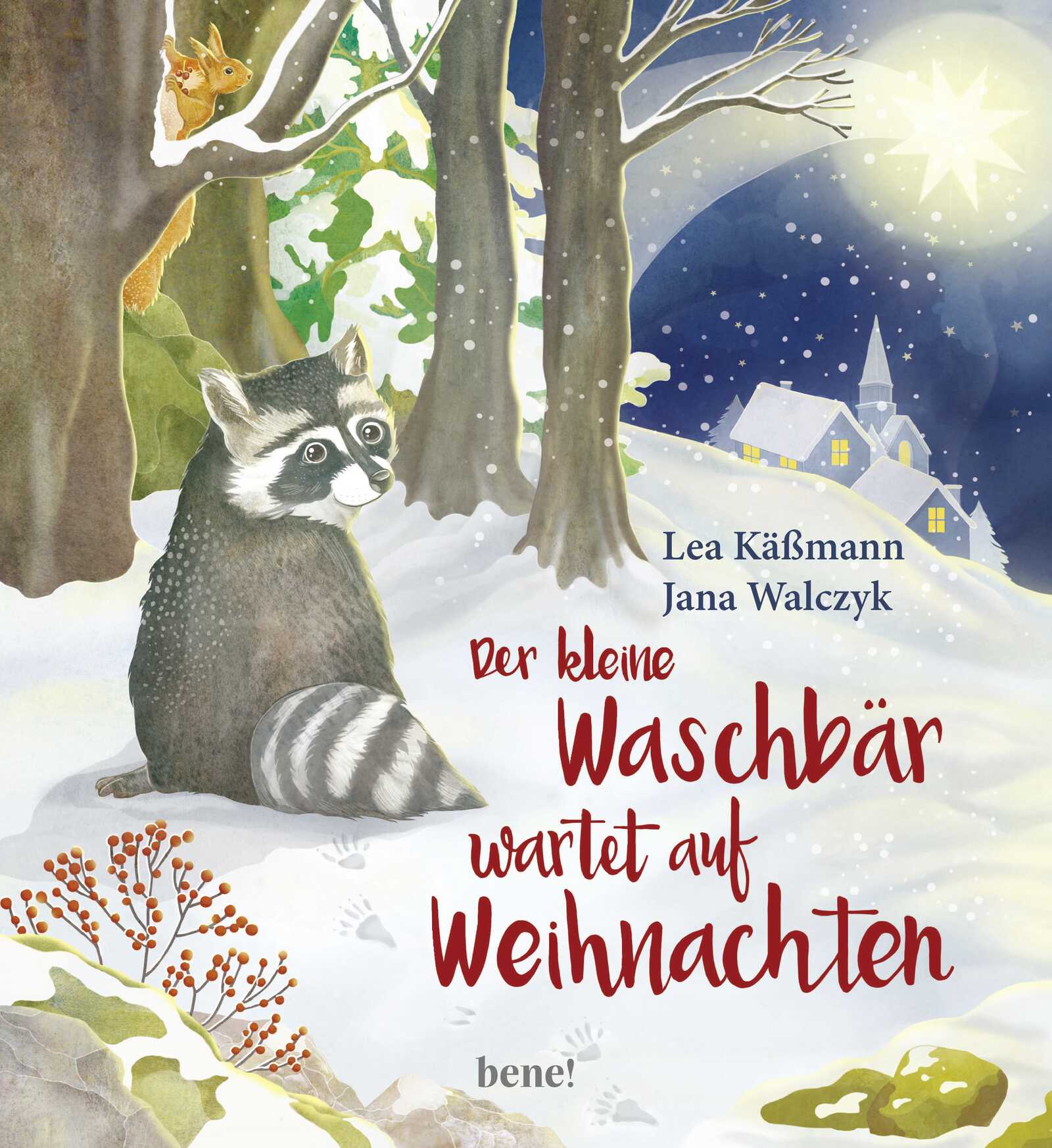 Buch - Der kleine Waschbär wartet auf Weihnachten