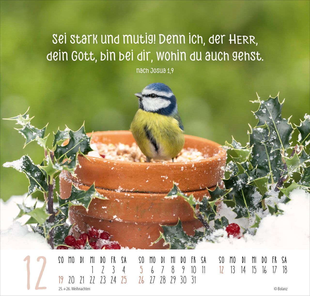 Posterkalender - Beste Freunde 2027