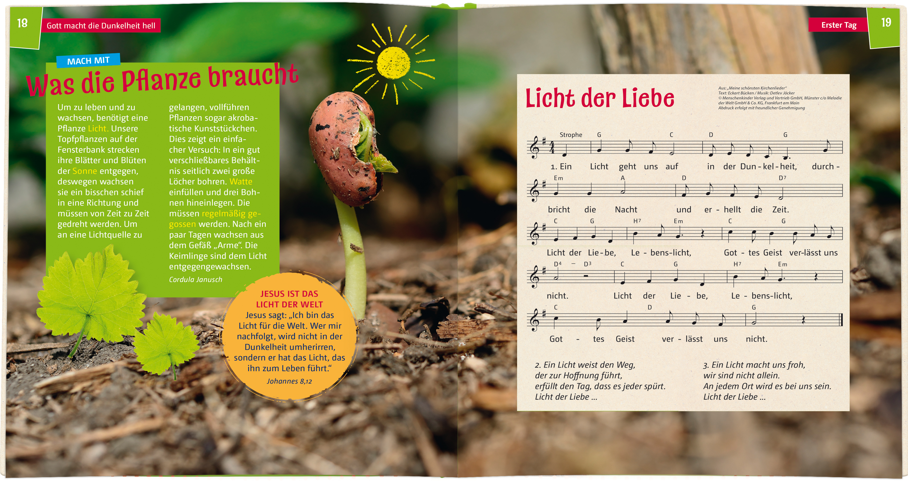 Buch - Wir entdecken die Schöpfung