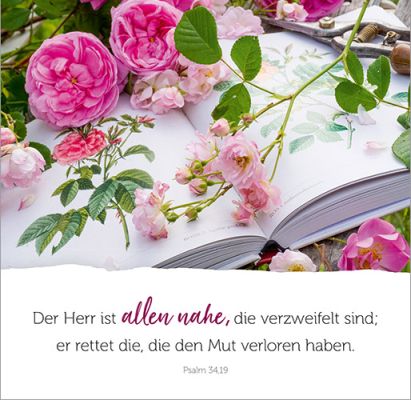 Aufstellbuch - Alltagsglücklich