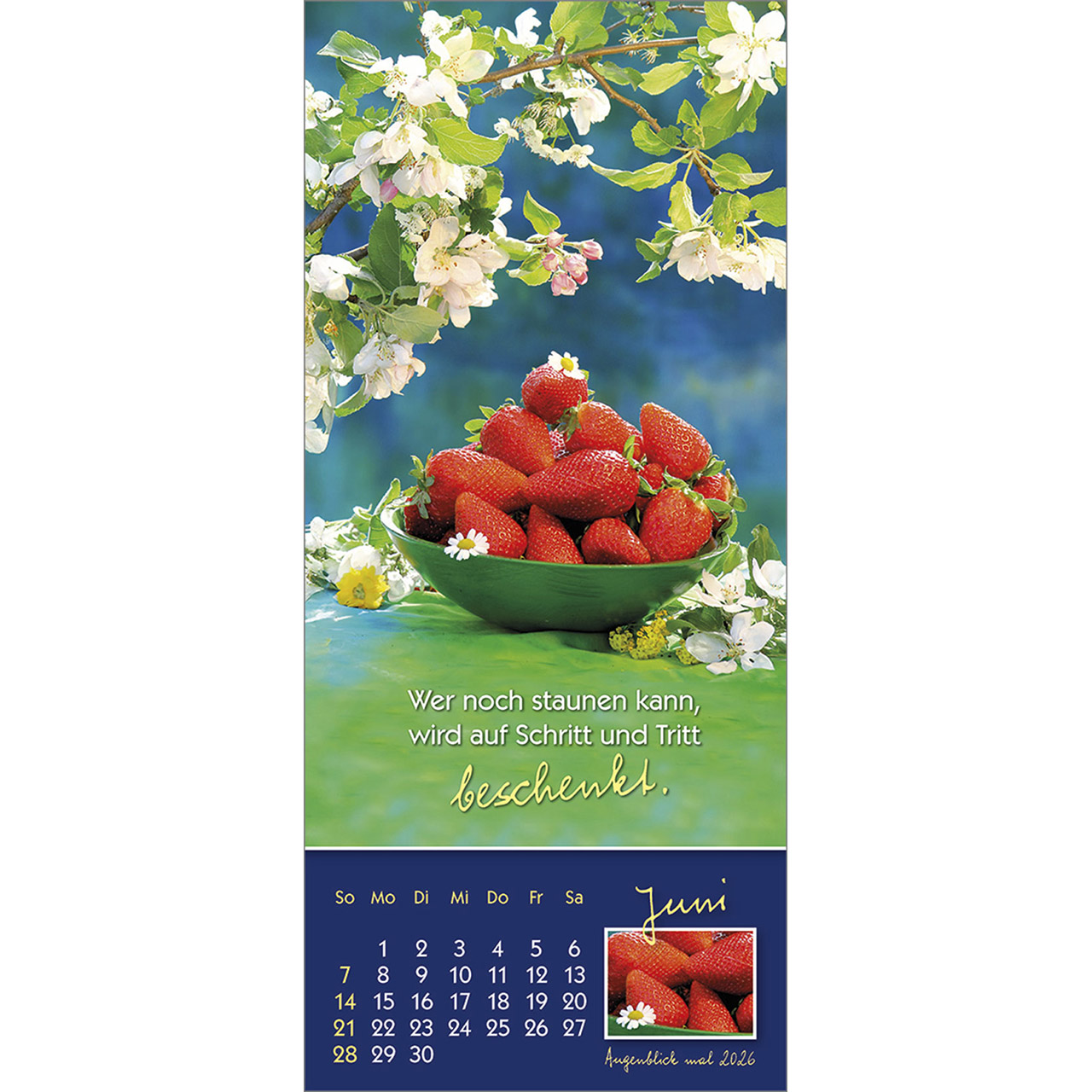 Tischkalender - Augenblick mal 2026