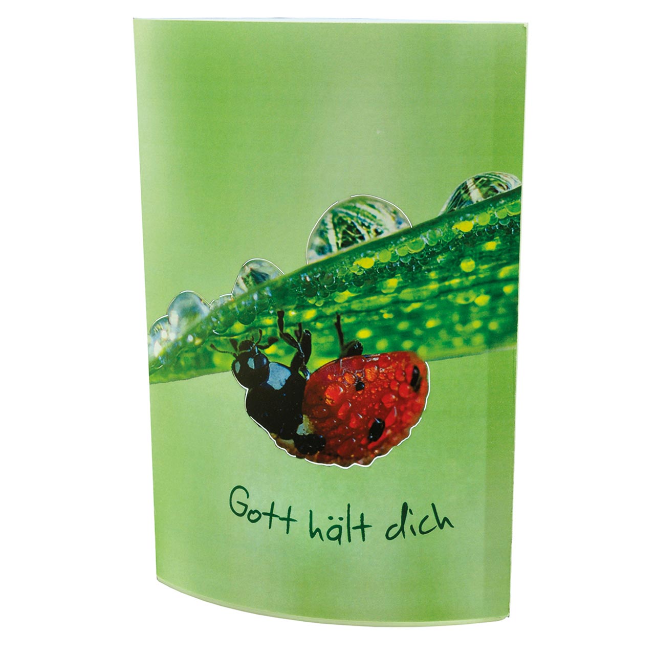 Gott hält dich Taschenlampe - Gott hält dich - Marienkäfer / Blatt
