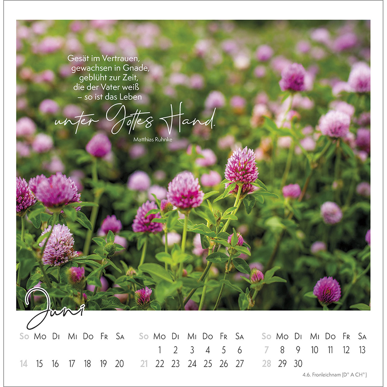 Postkartenkalender - Kleine Auszeit im Grünen 2026