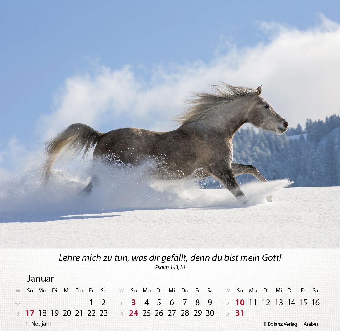 Tischkalender - Pferde 2027 Tischkalender