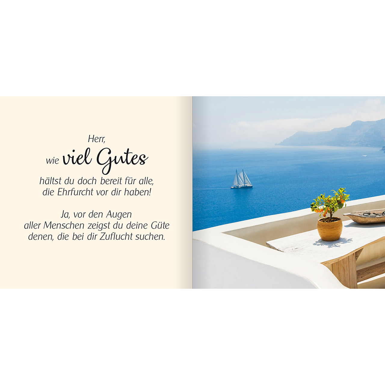 Geschenkbuch - Ich schenke dir - Psalm 31 - Schaukel Wiese Bäume
