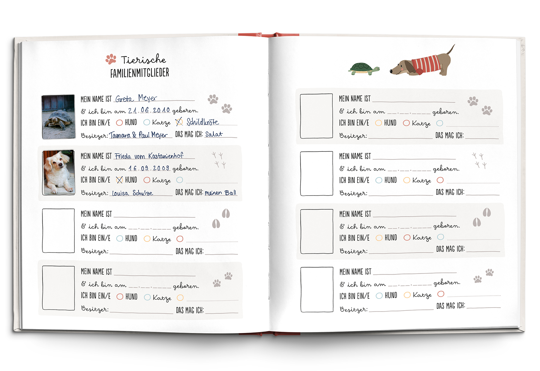 Buch - Meine Familie in einem Buch - Bilderrahmen Leuchturm Spiegel Fisch