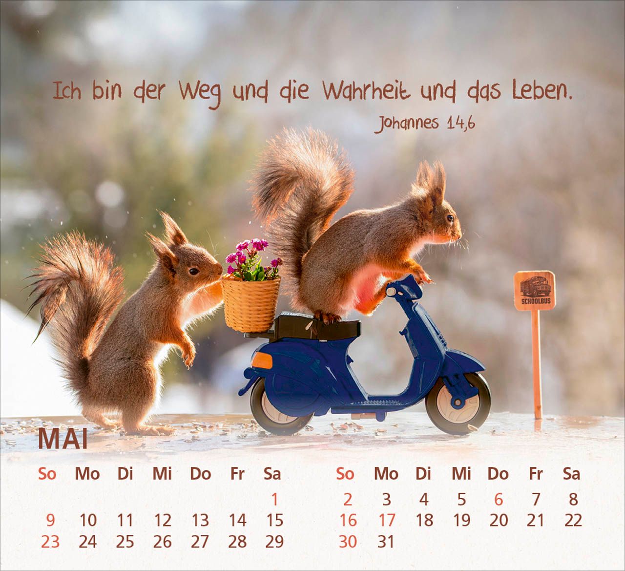 Tischkalender - Du bist meine Freude 2027