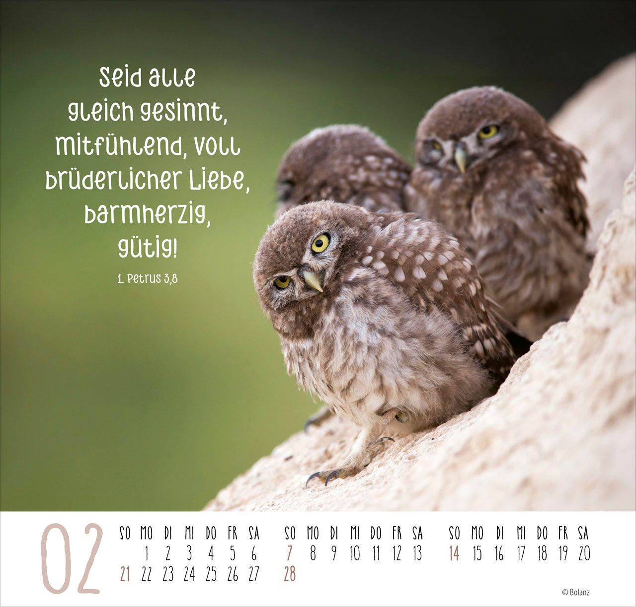 Posterkalender - Beste Freunde 2027