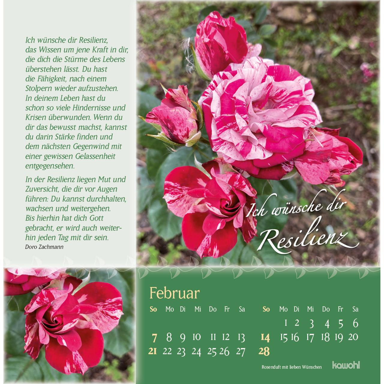 Postkartenkalender - Rosenduft mit lieben Wünschen 2027