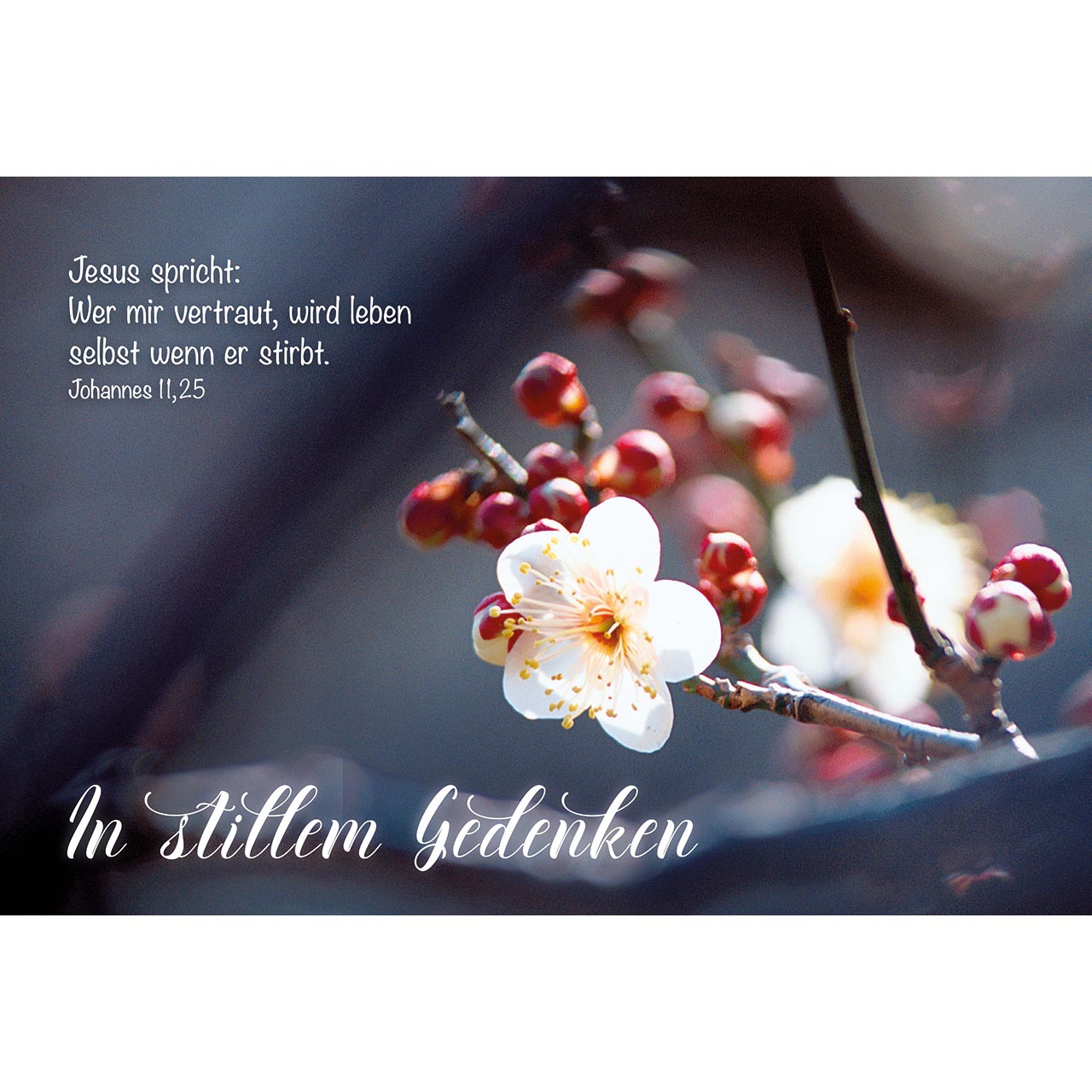 In stillem Gedenken Faltkarte - In stillem Gedenken - Ast Blüten Knospen