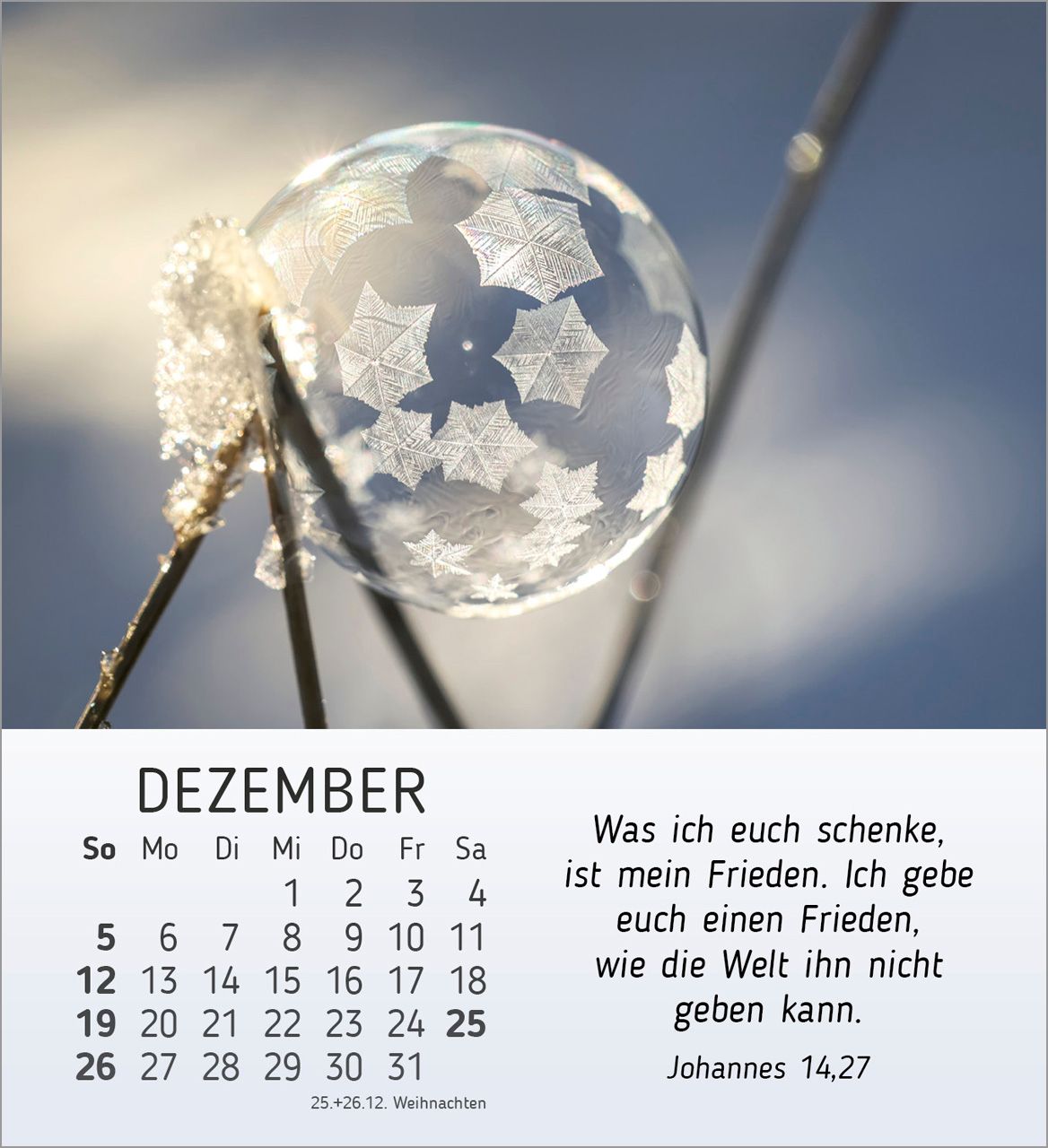 Tischkalender - Stille Begegnungen 2027