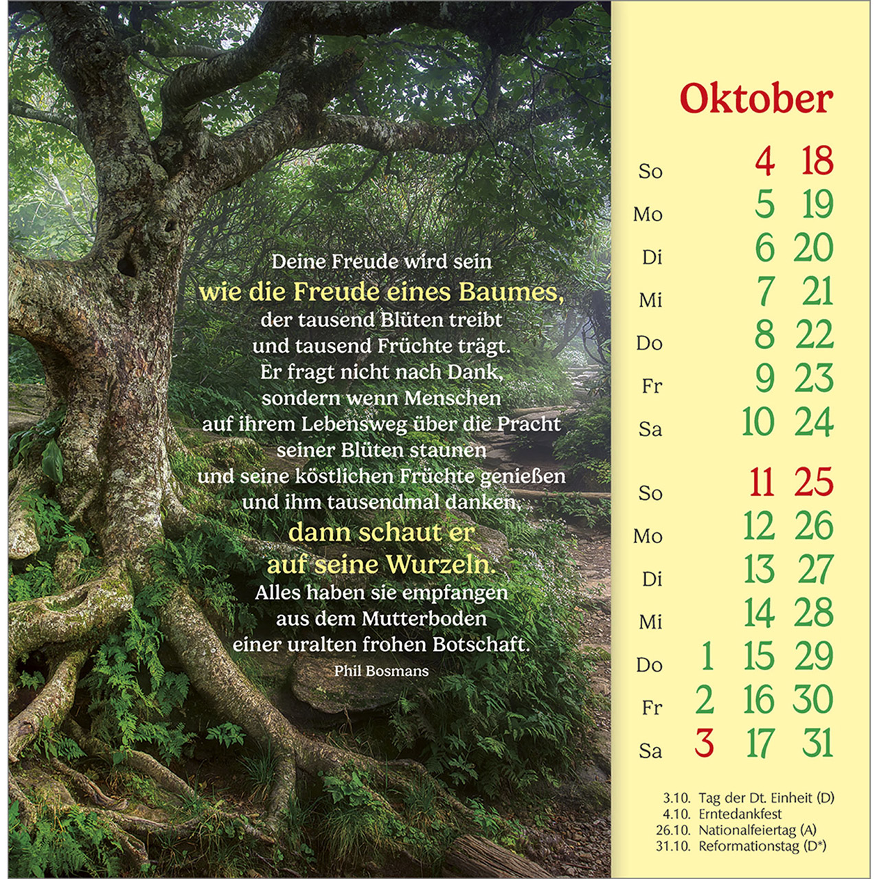 Postkartenkalender - Phil Bosmans - Postkarten-Kalender 2026