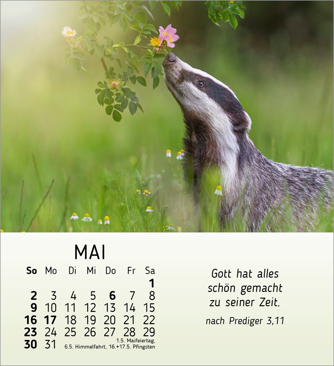 Tischkalender - Meine kleinen Freunde 2027