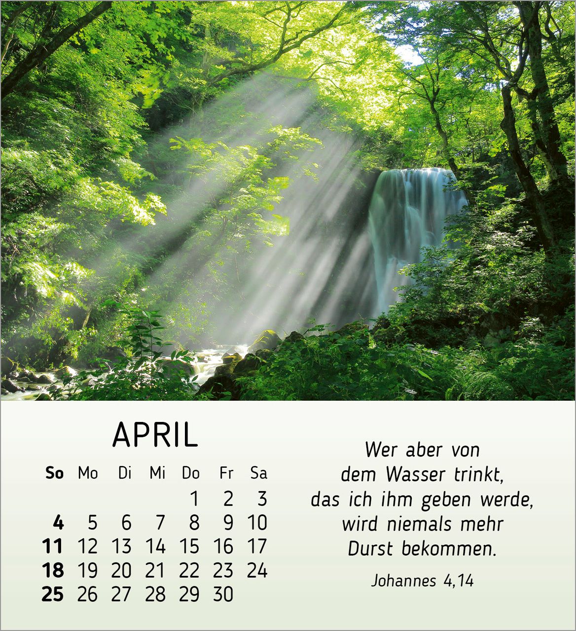 Tischkalender - Schönheit des Lichts 2027