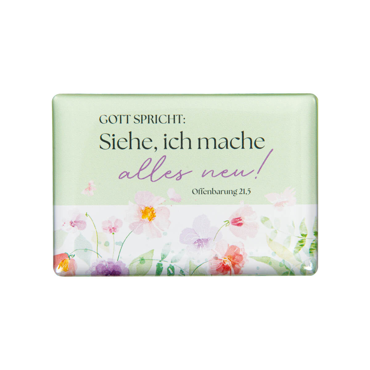 Magnet - Magnet                                                      'Gott spricht: Siehe