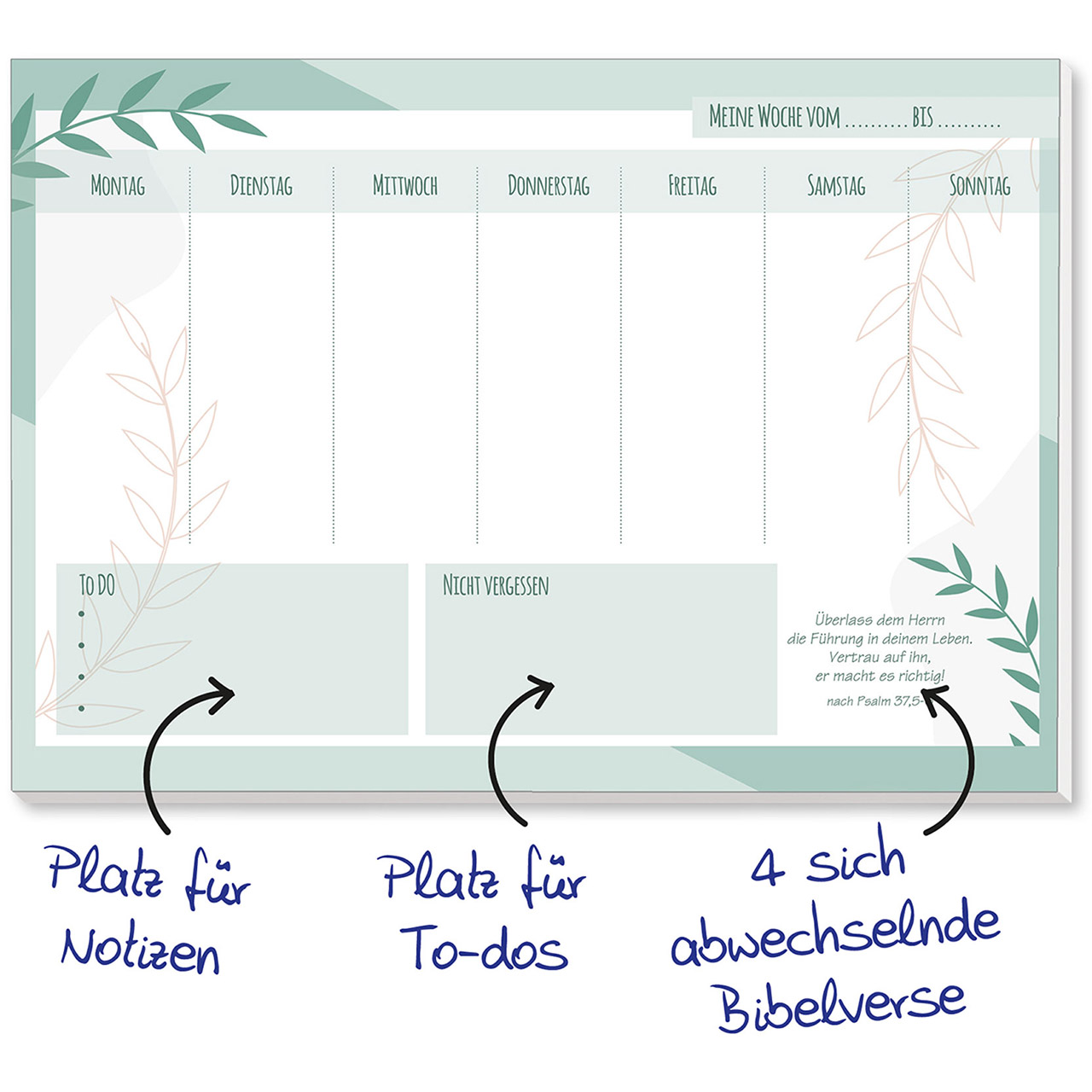 Notizbuch - Wochenplaner Farn - Farn Grafik
