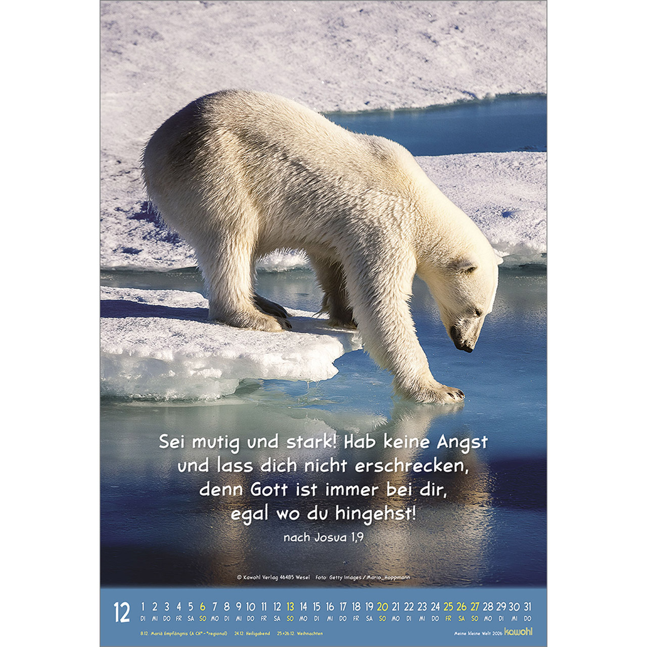 Wandkalender - Meine kleine Welt 2026