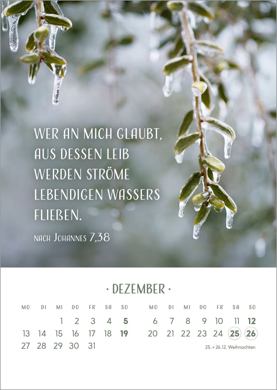 Tischkalender - Zarte Blumengrüße 2027
