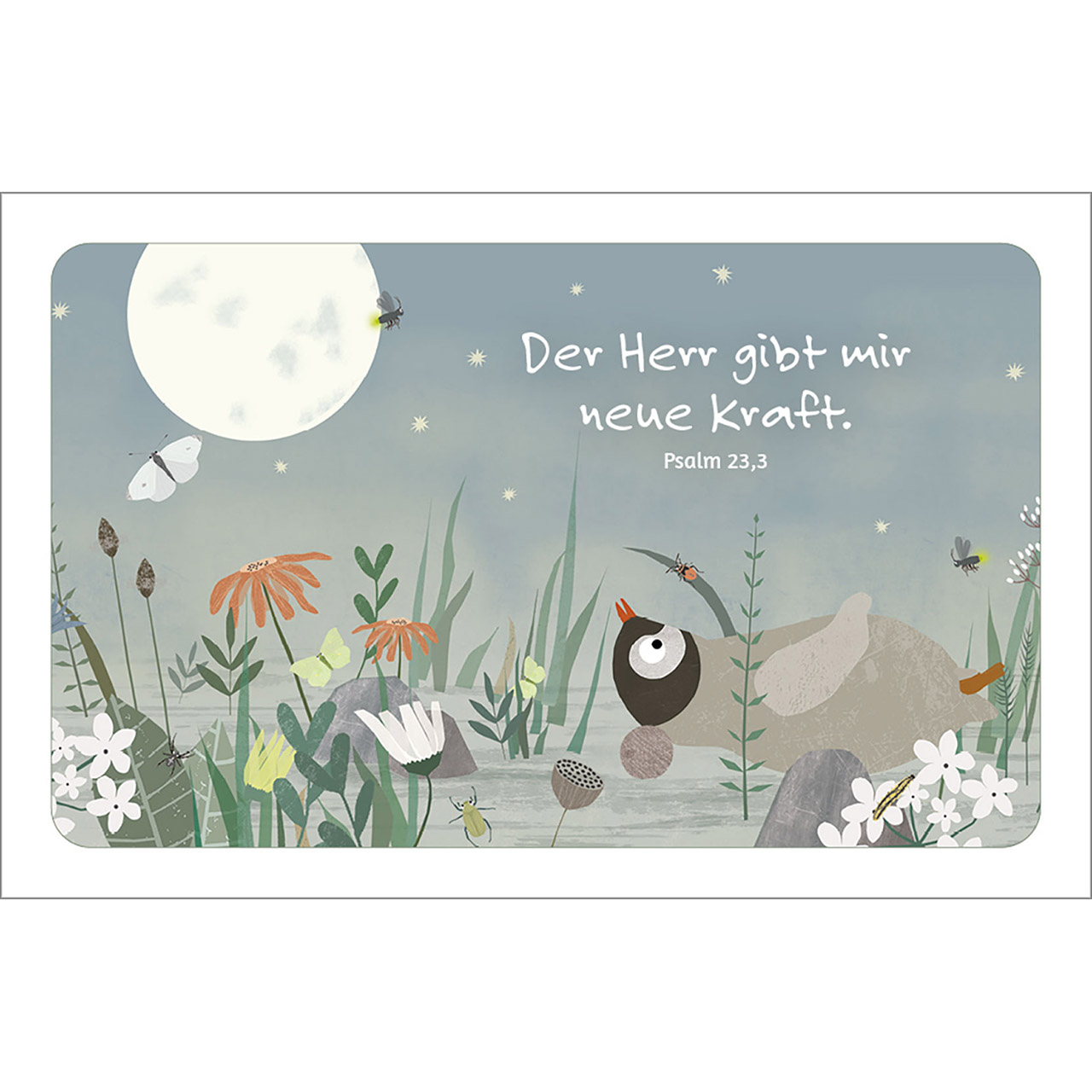 Karten-Box Kunststoff - Wunderbar ist das Leben - Pinguin Schildkröte