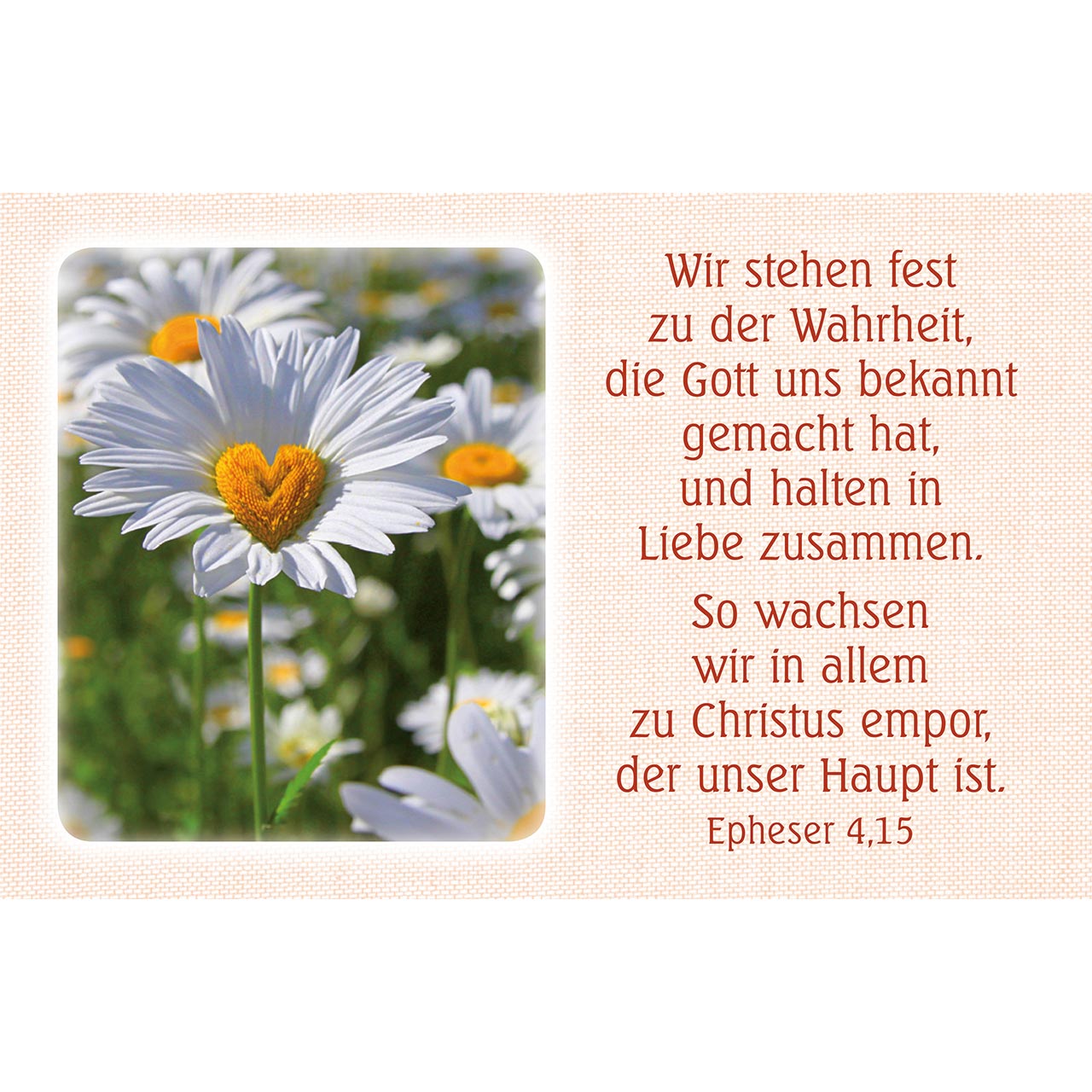 Karten-Box Kunststoff - Geburtstags-Wünsche - Blumenstrauß Rosen