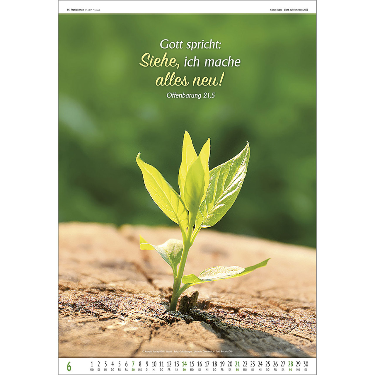 Wandkalender - Gottes Wort - Licht auf dem Weg 2026